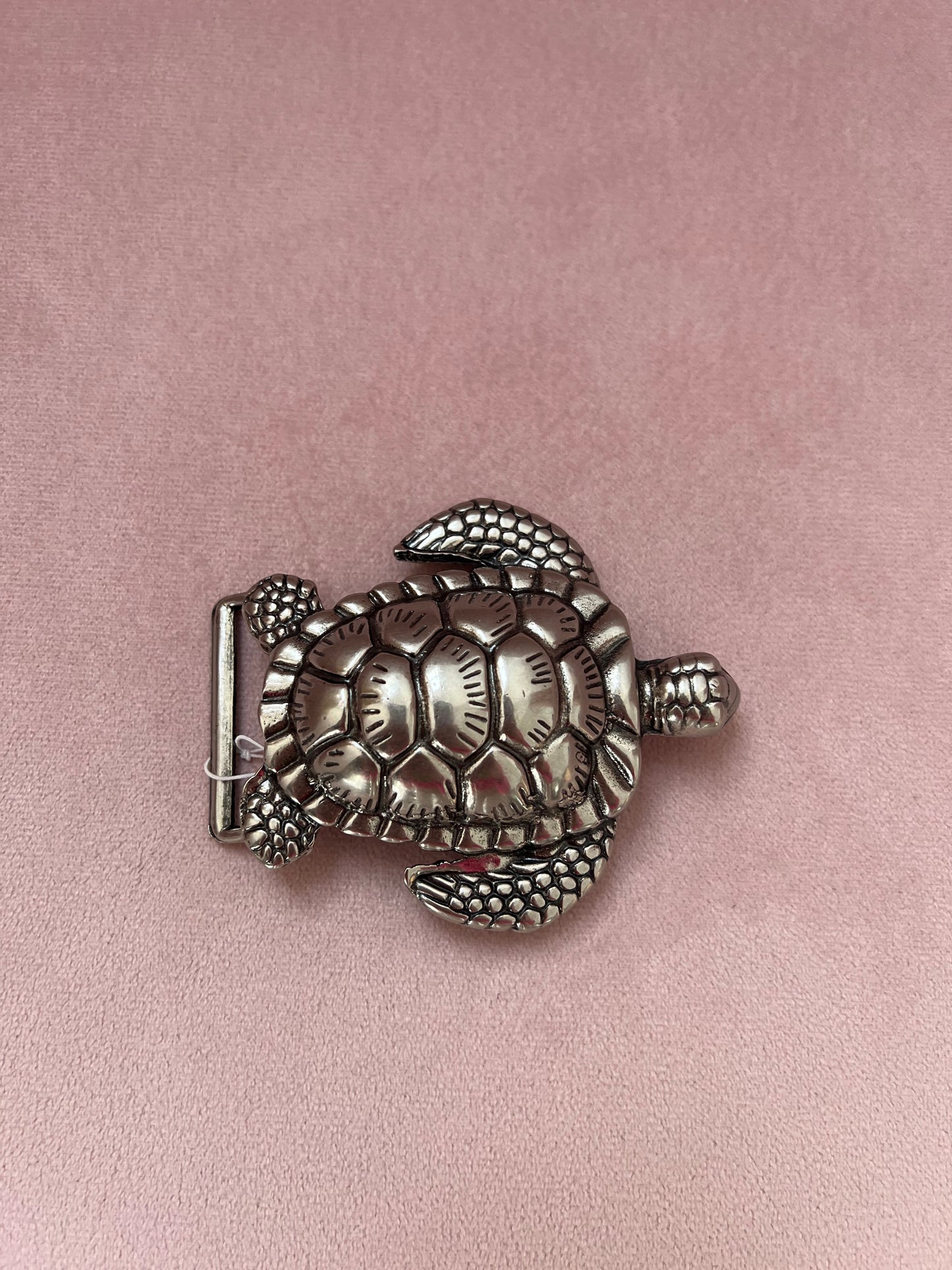 Hebilla tortuga plata